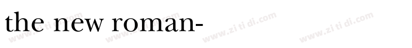 the new roman字体转换